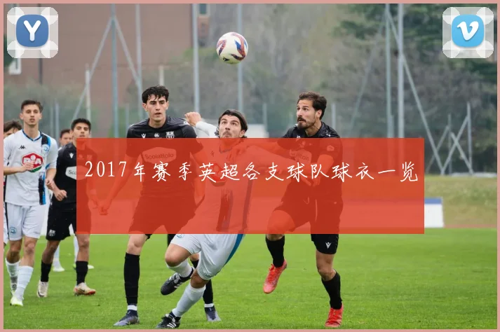 2017年赛季英超各支球队球衣一览